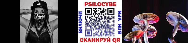 Галлюциногенные грибы Magic Shrooms  купить наркотик  Стерлитамак 
